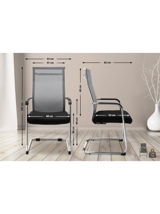 Kreslo pre návštevníkov Brenda, sivá