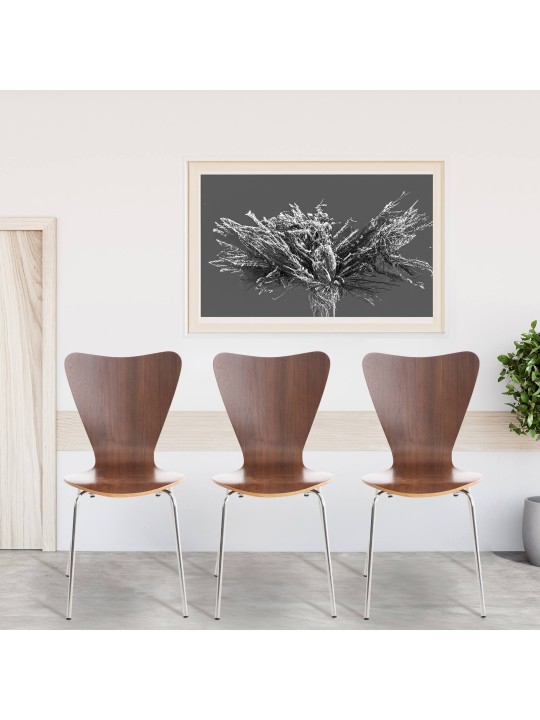 Sada 4 kresiel pre návštevníkov Calisto, orech