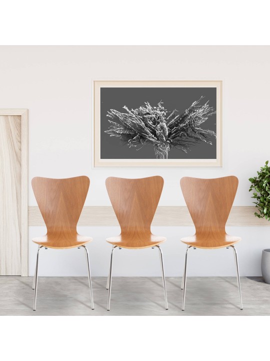 Sada 2 kresiel pre návštevníkov Calisto, dub